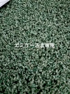 エミリーさま専用