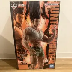 ふ*く様 一番くじHUNTER × HUNTERラストワン賞ゴン(多数オマケ付き