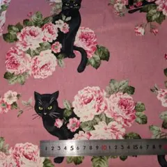 Item thumbnail for item 65e7a4c5-ac1c-44e5-aadd-bdb8fcaba2a2