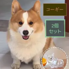 （コーギー）わんちゃん毛玉入れ 2個セット けだまだまチャーム メモリアル 収納