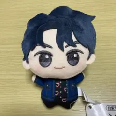 BTS タイニータンTinyTAN DNA ちびぐるみvol.1 Jin ジン