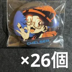 dr.stone 場面写 缶バッジ チェルシー 26個