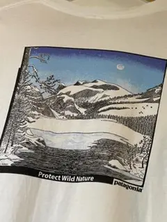 patagonia パタゴニア 90〜00s オーガニックコットン ロンt