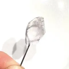 Item thumbnail for item 4a21150a-7645-4cb8-b6f1-49ee803d3419