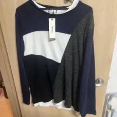 Item thumbnail for item 3847344d-174b-4d76-8960-8c14530126ec