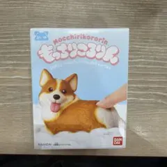 箱から出して発送　もっちりころりん ぷりぷりコーギー レッドホワイト フィギュア