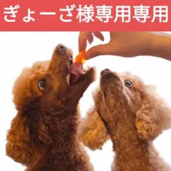 ぎょーざ様 リクエスト 2点 まとめ商品