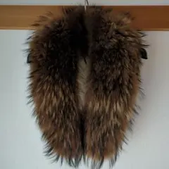 ブラウンファーストール