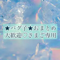 ★パグ子★おまとめ大歓迎♡さまご専用