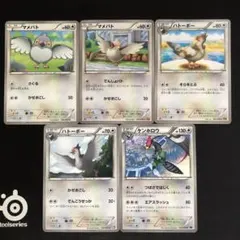 マメパト　ハトーボー　ケンホロウ