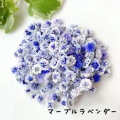 あやこ様専用ページ