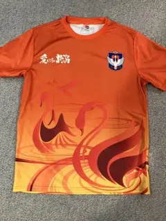 アルビレックス新潟　オレンジ スワン グラフィック サッカーシャツ 12