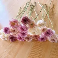 ラナンキュラス❇️キュートで可愛い色合い❣️