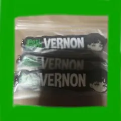 SEVENTEEN 1番くじ ぬいぐるみ・キーホルダー バーノンセット