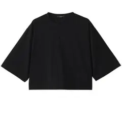 YLEVE イレーヴ　シアー ジャージー ショートスリーブ プルオーバー