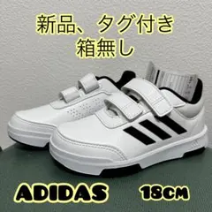 Item thumbnail for item 4b120d1b-ae6b-4655-ad78-760643bf668d