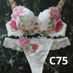 2025年最新】ワコールサルート09グループの人気アイテム - メルカリ