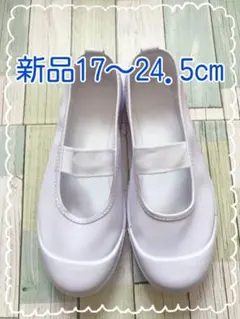 Item thumbnail for item 9d8b032f-68c6-426f-9fa3-67540c286b91