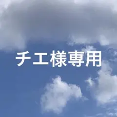専用ページ おこめ。(プロフ確認お願いします)様7/27 - メルカリ