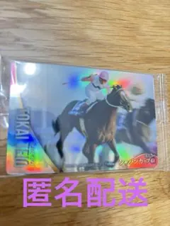 2025年最新】トウカイテイオー ウエハースの人気アイテム - メルカリ