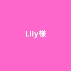 Lily❦様 リクエスト 2点 まとめ商品