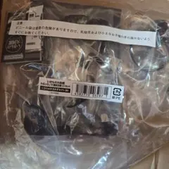 いきもの大図鑑　かぶとむし10　コーカサスオオカブト(改)