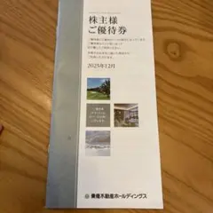 東急不動産ホールディングス 株主優待券