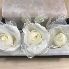 Item thumbnail for item a4c5629c-791d-413c-8600-9e37418e58f5