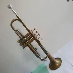 Item thumbnail for item 6ebac78d-9e91-4e45-a952-cb79ba00cfb8