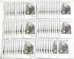 にじさんじ ディティカ Dytica デビューグッズ チェキ風カード 叢雲カゲツ