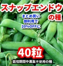 KAKO様 リクエスト 2点 まとめ商品