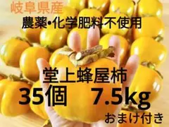 2025年最新】堂上蜂屋柿の人気アイテム - メルカリ