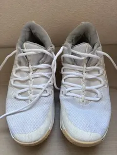 Item thumbnail for item eb7c987a-3b67-41e5-b62f-e20f313e769e