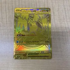 メガカイリューex mur