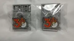 ポケモン30周年 メタルチャームマスコット (ヒトカゲ)×2