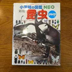 小学校の図鑑NEO 昆虫 DVD付き