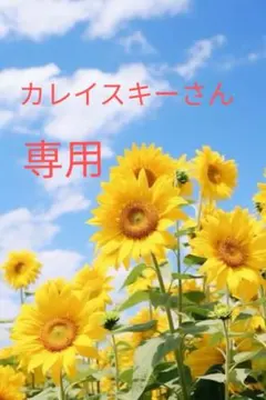 【カレンスキーさん専用】美品もちもちふれんず ヒラメちゃん ボールチェーン付