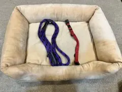 Item thumbnail for item 942bcd0b-ab22-47a9-bd6f-13d50982fb8e