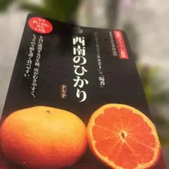 ひい様 リクエスト 2点 まとめ商品