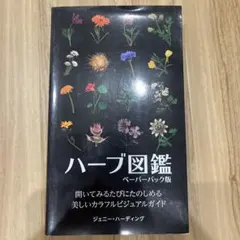 Item thumbnail for item a345e161-4380-4189-8753-30b7167284b9