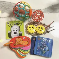 0歳〜　カラフルおもちゃと絵本セット