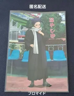 ヒロアカ　花やしき　心操人使　ブロマイド