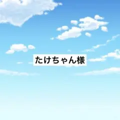 アメステ たけちゃん様