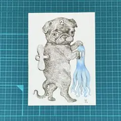 히구치 유코 엽서 “퍼그 2” 2013 파트 ②