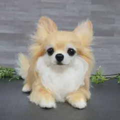 羊毛フェルト　にこにこポメラニアン　クリーム 羊毛フェルト 羊毛犬 にこにこポメラニアン クリームホワイト - メルカリ