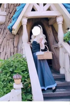 ブライアローズ　オーロラ姫　コスプレ衣装のサムネイル