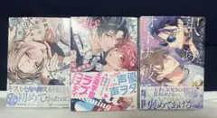 ボーイズラブ漫画 3冊セット