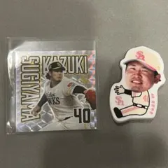 抱きつきクリップ 40杉山一樹投手