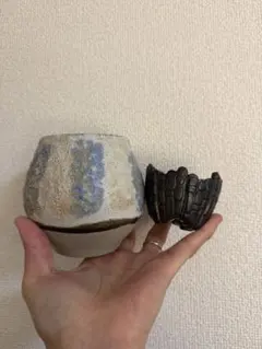 陶器鉢　2個　セット　アガベ　塊根　作家鉢