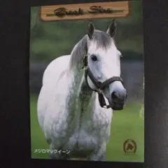 メジロマックイーン Great Sire 1997 EPOCH カード　馬